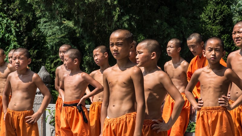 Kung Fu Practitioner